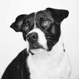 Entry image for Azula María