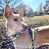 Entry image for JuaNito W-Oliveras