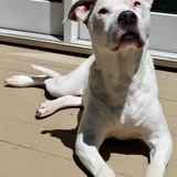 Entry image for Zara