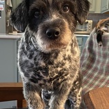 Entry image for Maggie 