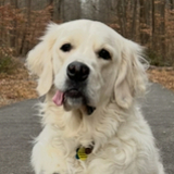 Entry image for Oakley