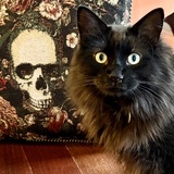 Entry image for Bailey Dropkin