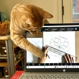 Entry image for Cheddar