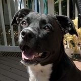 Entry image for Honey 