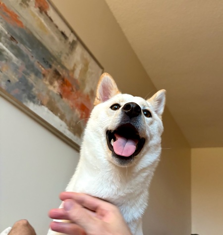 Entry image for Mochi . Clicking this image will show a larger photo