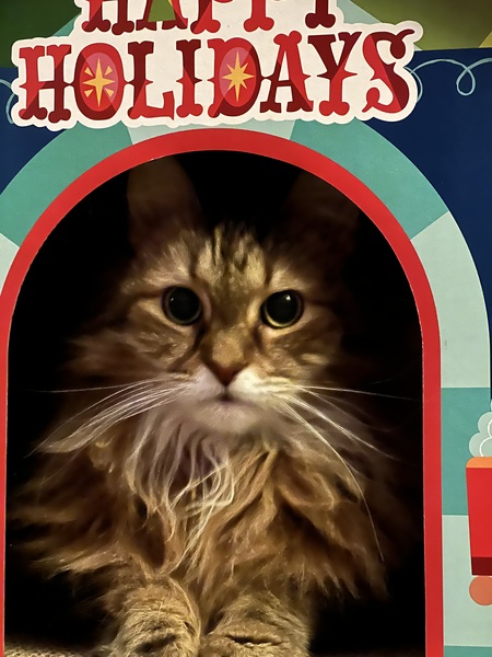 Entry image for Remedy. Clicking this image will show a larger photo