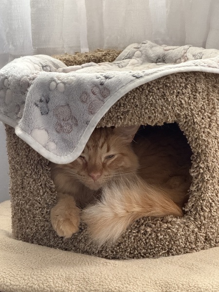 Entry image for Ravi. Clicking this image will show a larger photo