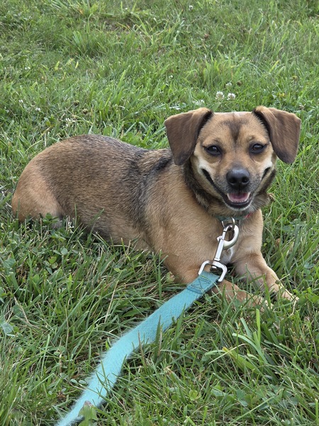 Entry image for Bannah. Clicking this image will show a larger photo