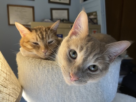 Entry image for Boots and Luke. Clicking this image will show a larger photo