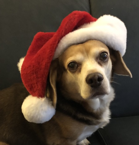 Entry image for Walter. Clicking this image will show a larger photo