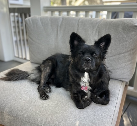 Entry image for Kenzie. Clicking this image will show a larger photo