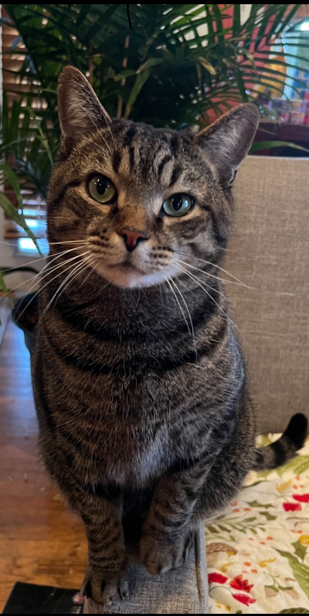 Entry image for Gabriel. Clicking this image will show a larger photo