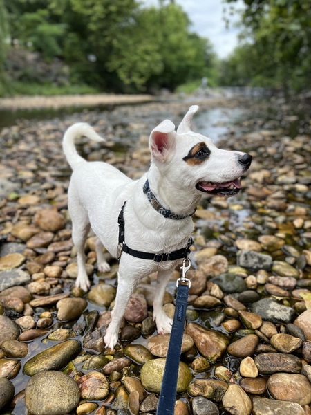 Entry image for Zero. Clicking this image will show a larger photo