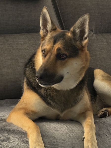 Entry image for Kobe. Clicking this image will show a larger photo