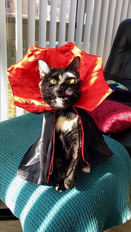 Entry image for Parker. Clicking this image will show a larger photo