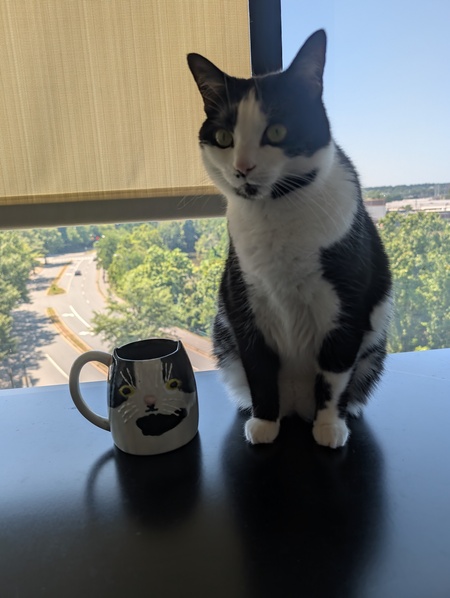 Entry image for Joplin. Clicking this image will show a larger photo