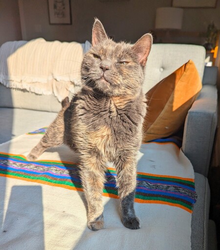 Entry image for Florence. Clicking this image will show a larger photo