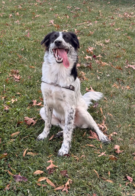 Entry image for Hatch. Clicking this image will show a larger photo