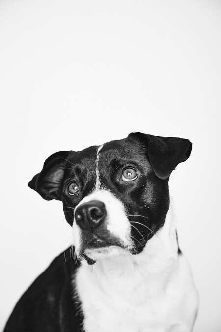 Entry image for Azula María. Clicking this image will show a larger photo