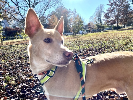 Entry image for JuaNito W-Oliveras. Clicking this image will show a larger photo