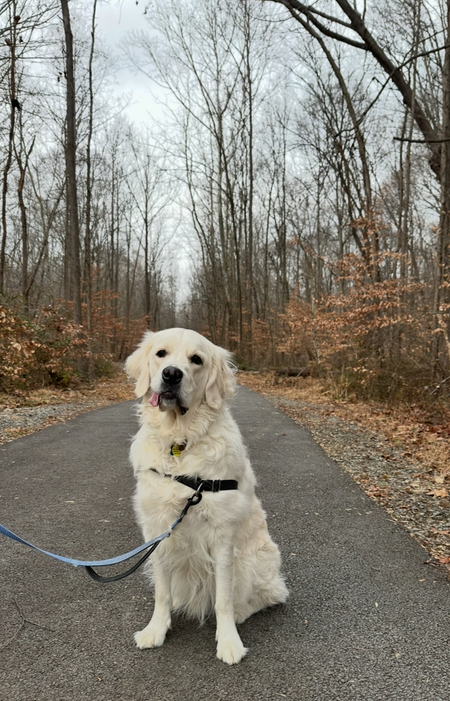 Entry image for Oakley. Clicking this image will show a larger photo