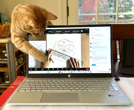 Entry image for Cheddar. Clicking this image will show a larger photo