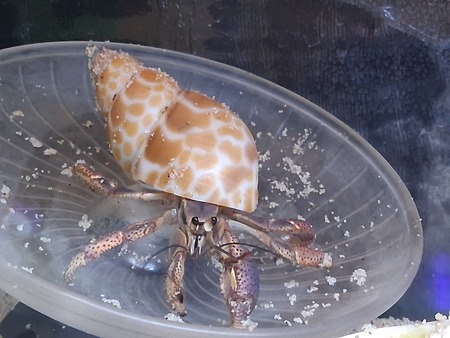 Entry image for Pete. Clicking this image will show a larger photo