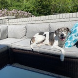 Entry image for Nash