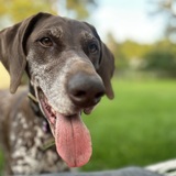 Entry image for Francie