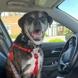 Entry image for Oscar Rowe