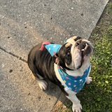 Entry image for Bentley 