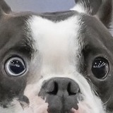 Entry image for Locee