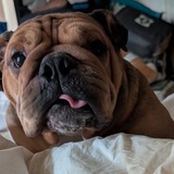 Entry image for Georgie 