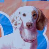 Entry image for Milo