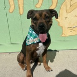 Entry image for Clover