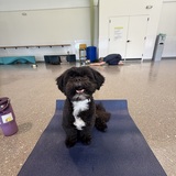 Entry image for Benny James