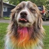 Entry image for Roisin