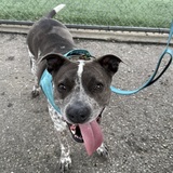 Entry image for Quinn