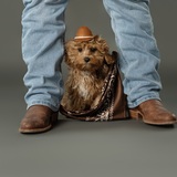 Entry image for Sir Winston 