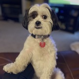 Entry image for Wyatt 