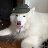 Entry image for Dakota