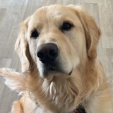 Entry image for Cooper 