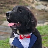 Entry image for Murphy