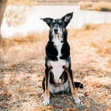 Entry image for Jessy