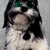 Entry image for Cooper