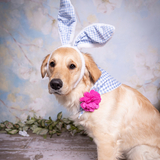 Entry image for Nilla Wafer