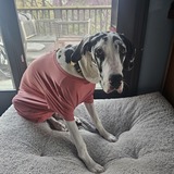 Entry image for Tiny