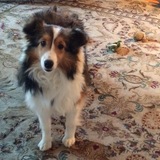 Entry image for Precious