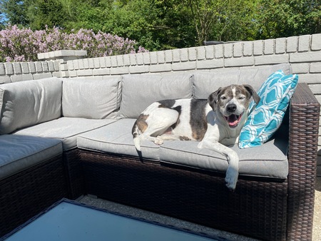 Entry image for Nash. Clicking this image will show a larger photo