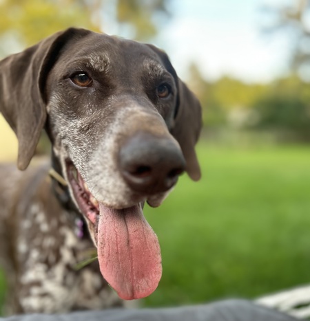 Entry image for Francie. Clicking this image will show a larger photo